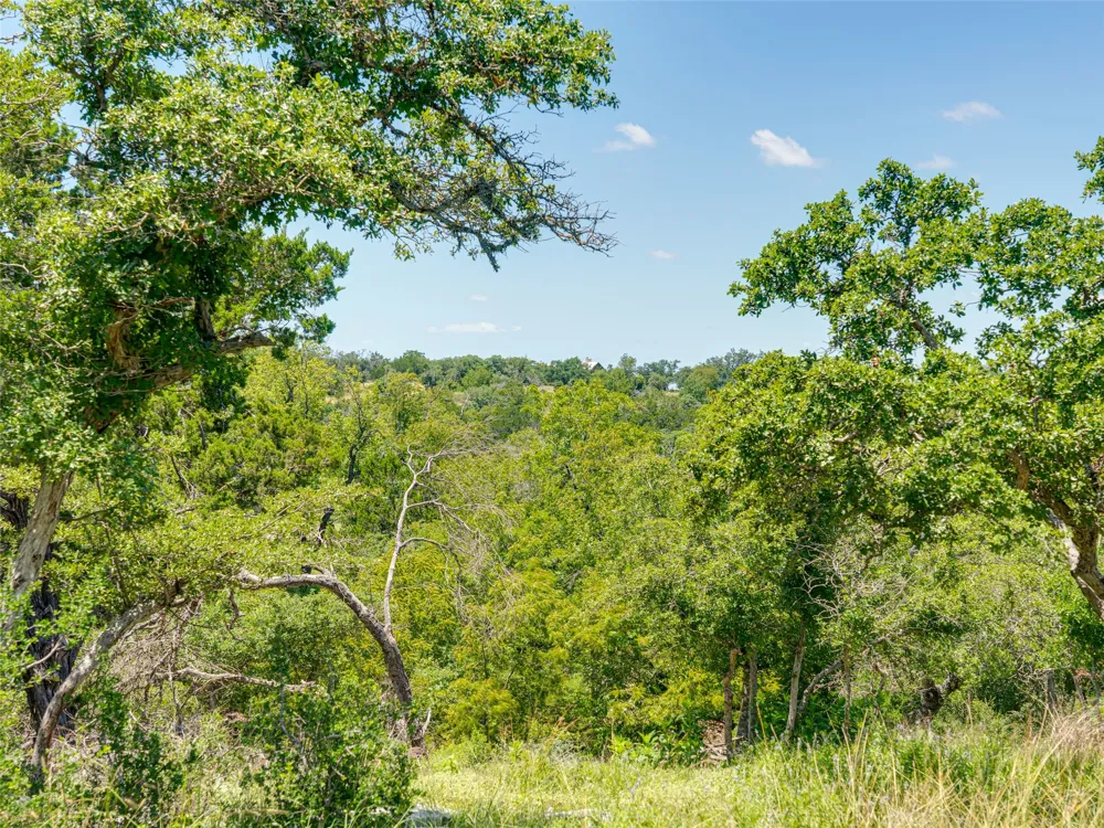 19 Cielo Vista Court Fredericksburg, TX 78624