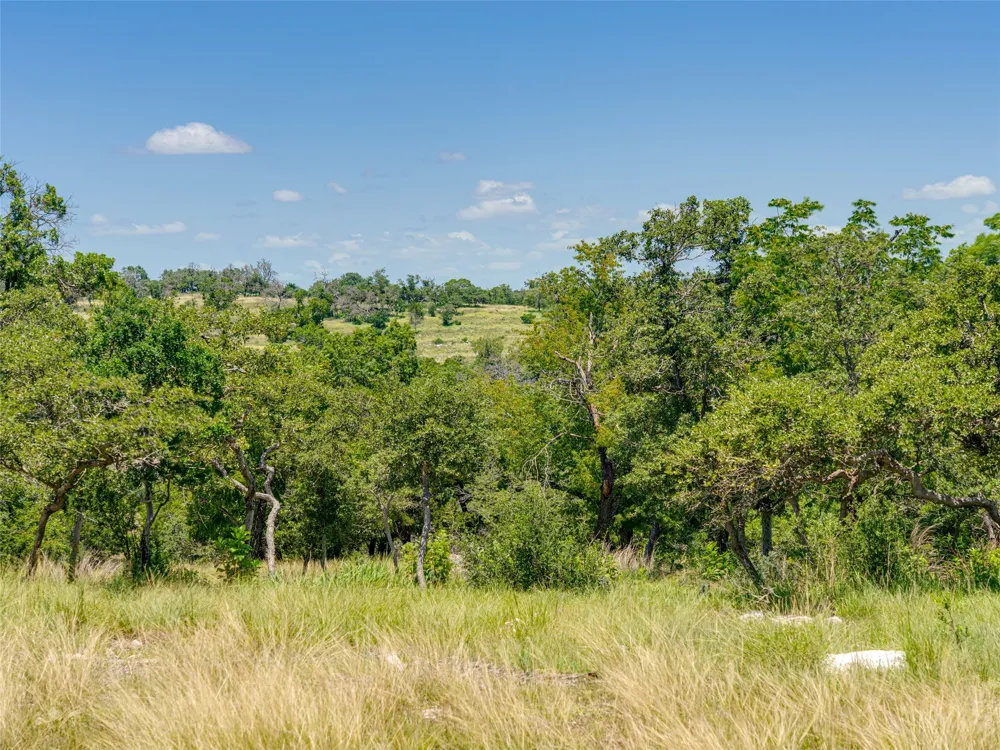 19 Cielo Vista Court Fredericksburg, TX 78624