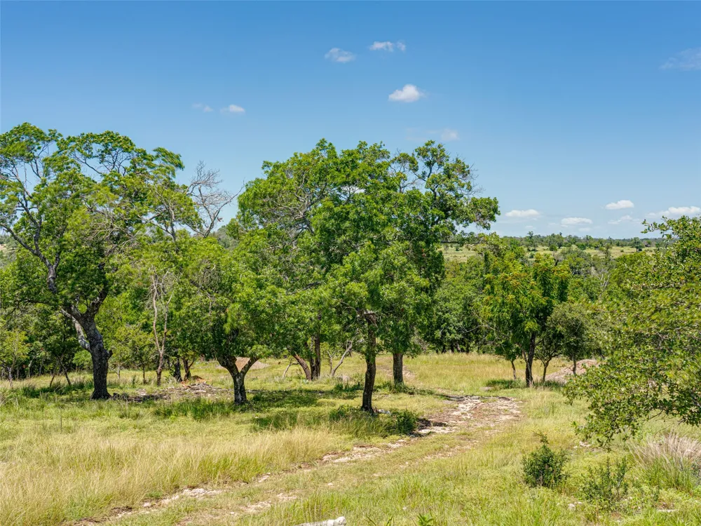 19 Cielo Vista Court Fredericksburg, TX 78624