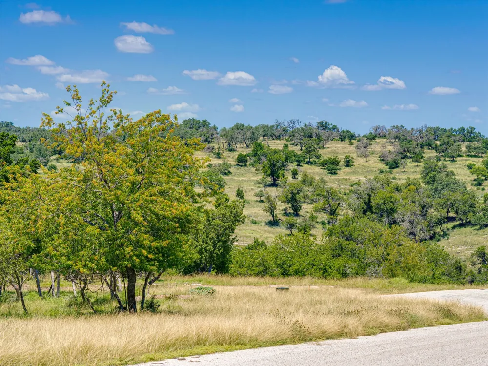 19 Cielo Vista Court Fredericksburg, TX 78624