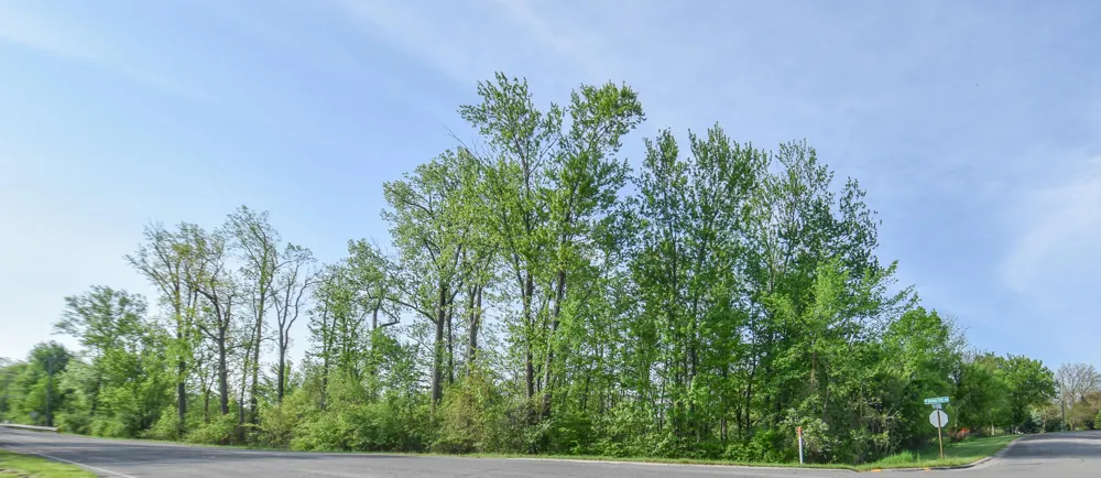 Union City Road Coldwater, MI 49036