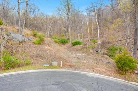 4 Weyant Road