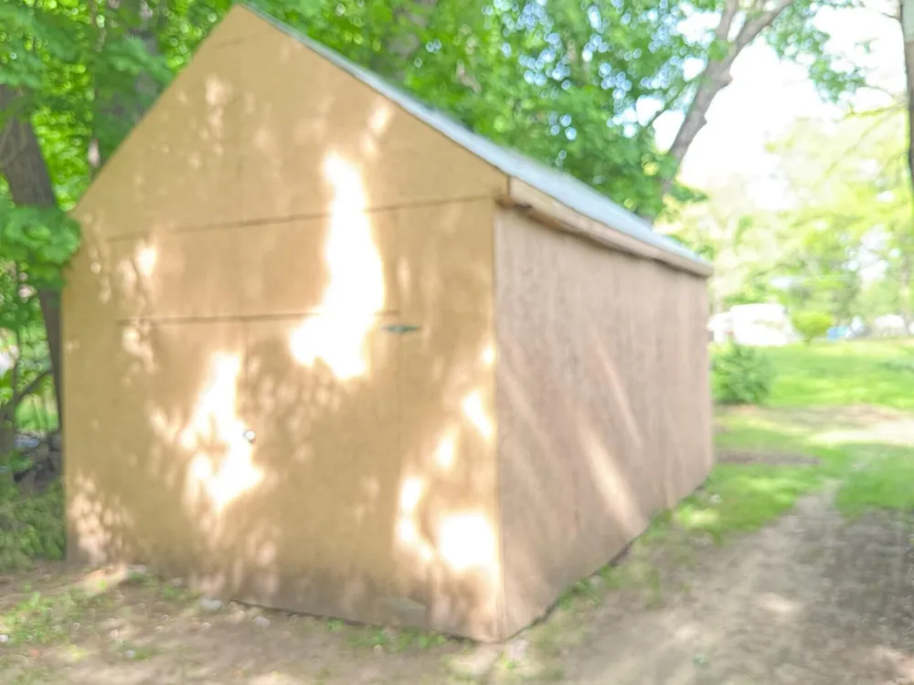 3430 S Chestnut Avenue Big Prairie Township, MI 49337