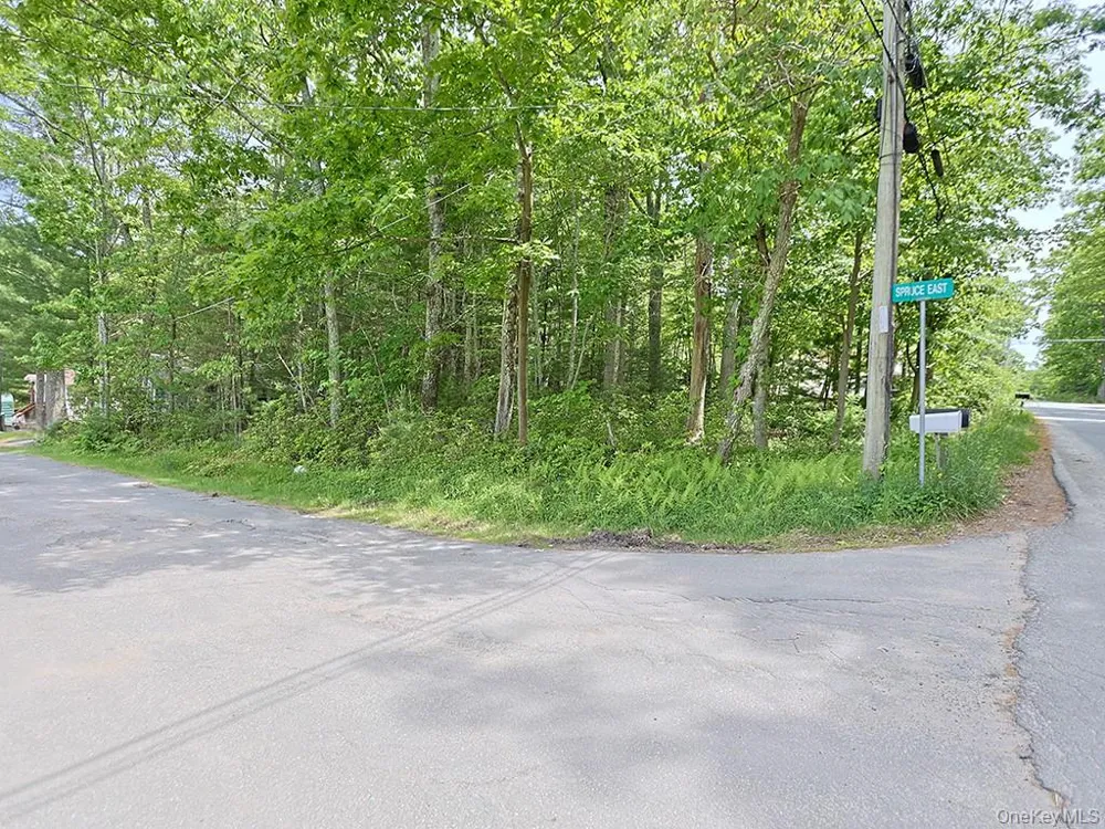 4 Spruce Street E Wurtsboro, NY 12790