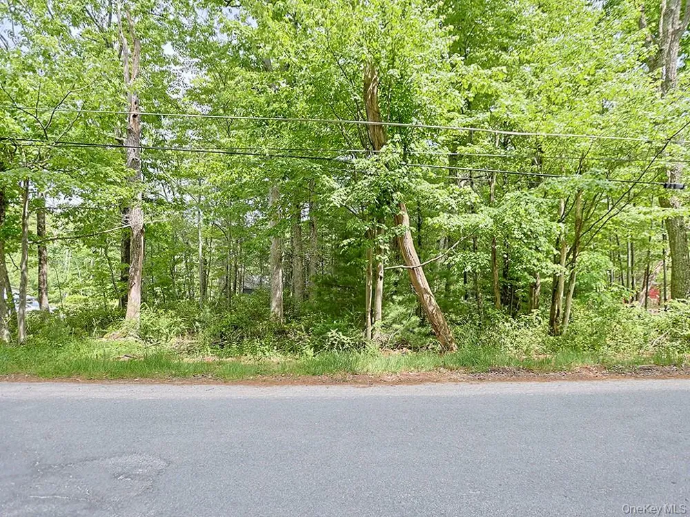 4 Spruce Street E Wurtsboro, NY 12790