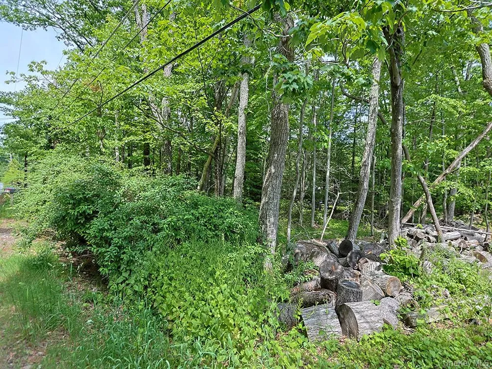 4 Spruce Street E Wurtsboro, NY 12790