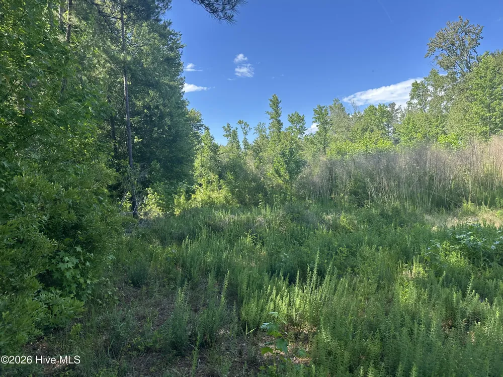 Near 594 Big Cypress Road Nakina, NC 28455