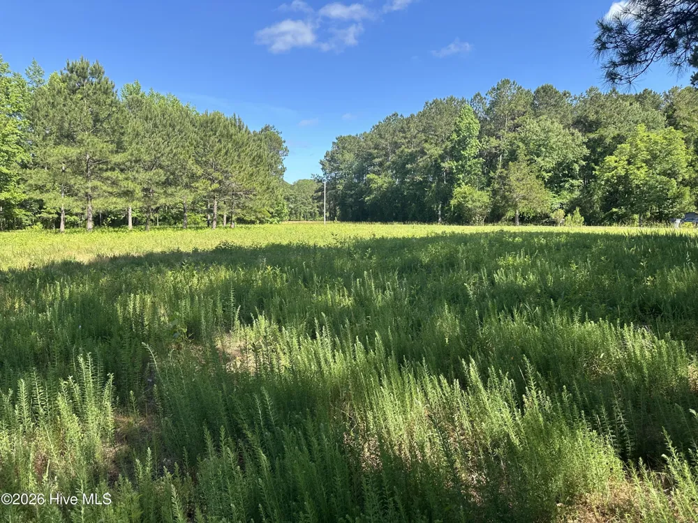 Near 594 Big Cypress Road Nakina, NC 28455