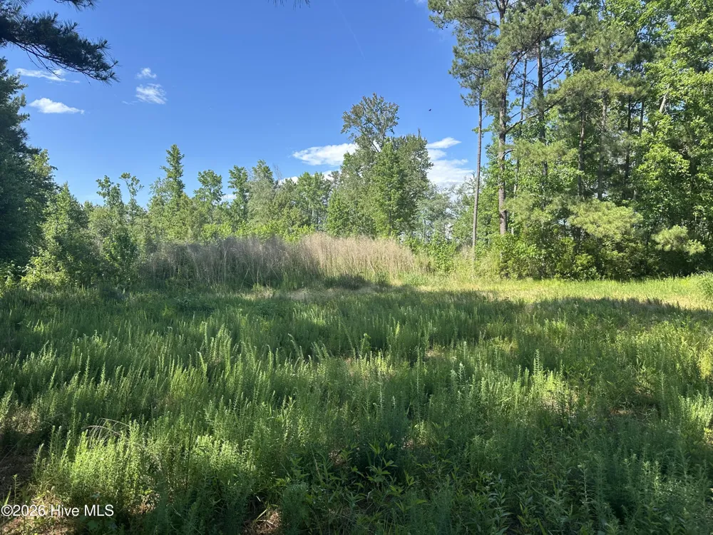 Near 594 Big Cypress Road Nakina, NC 28455