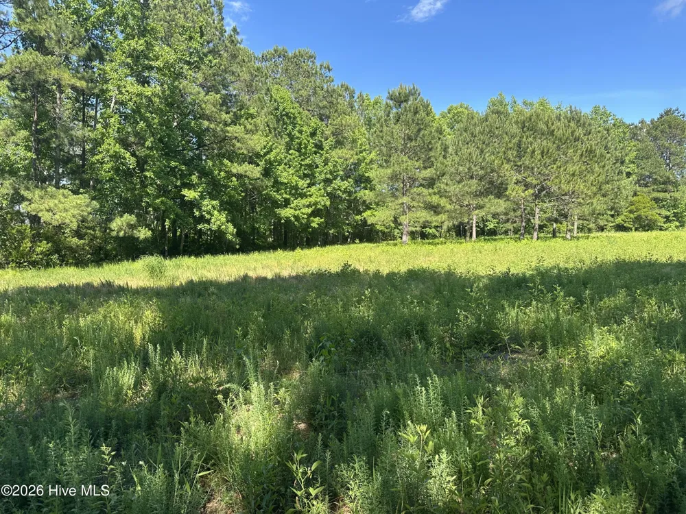 Near 594 Big Cypress Road Nakina, NC 28455