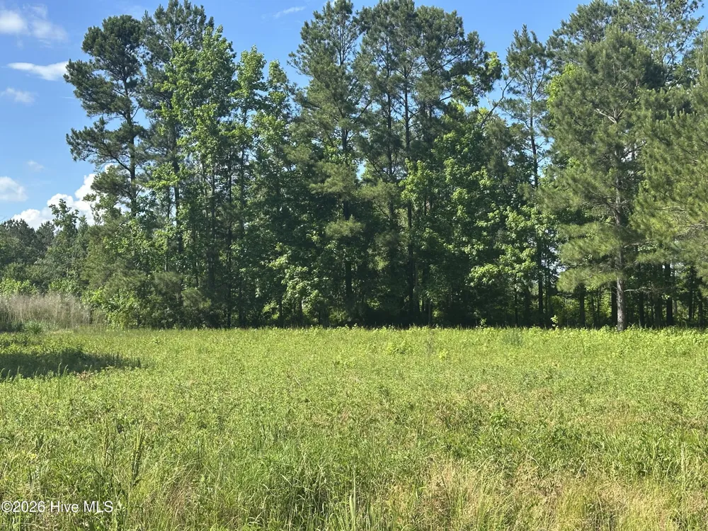 Near 594 Big Cypress Road Nakina, NC 28455