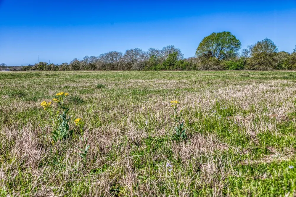 11646 Schuster Rd Round Top, TX 78954