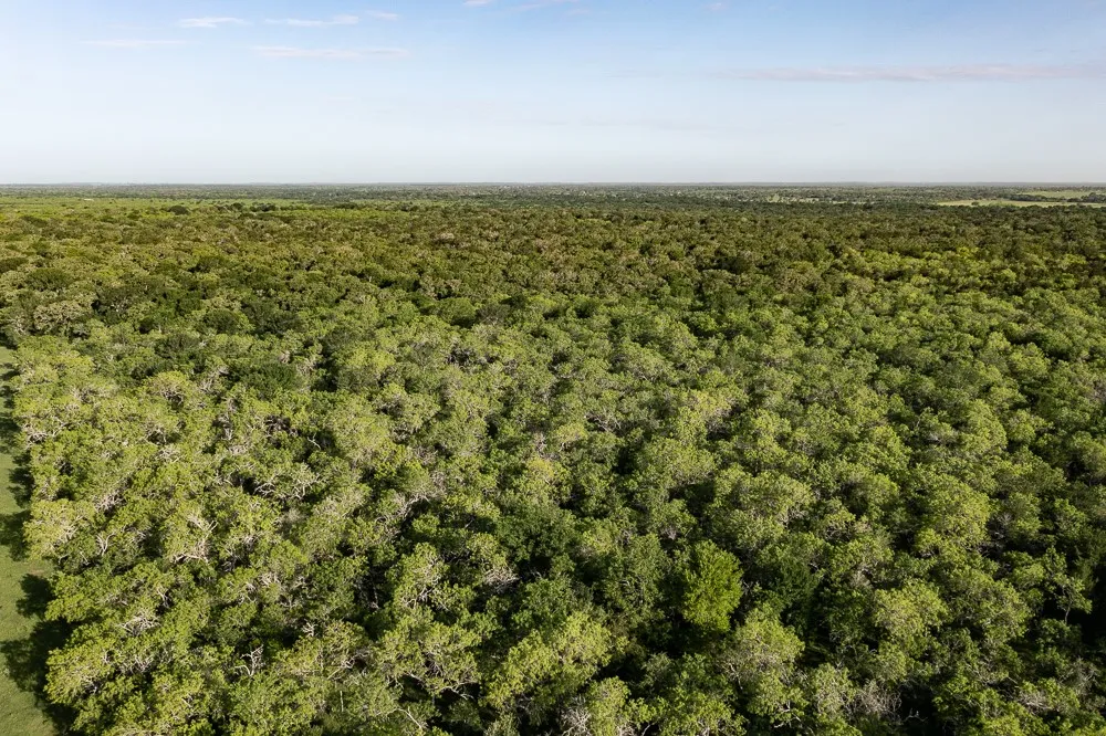 Anchor Ranch Lp Loop Cistern, TX 78941