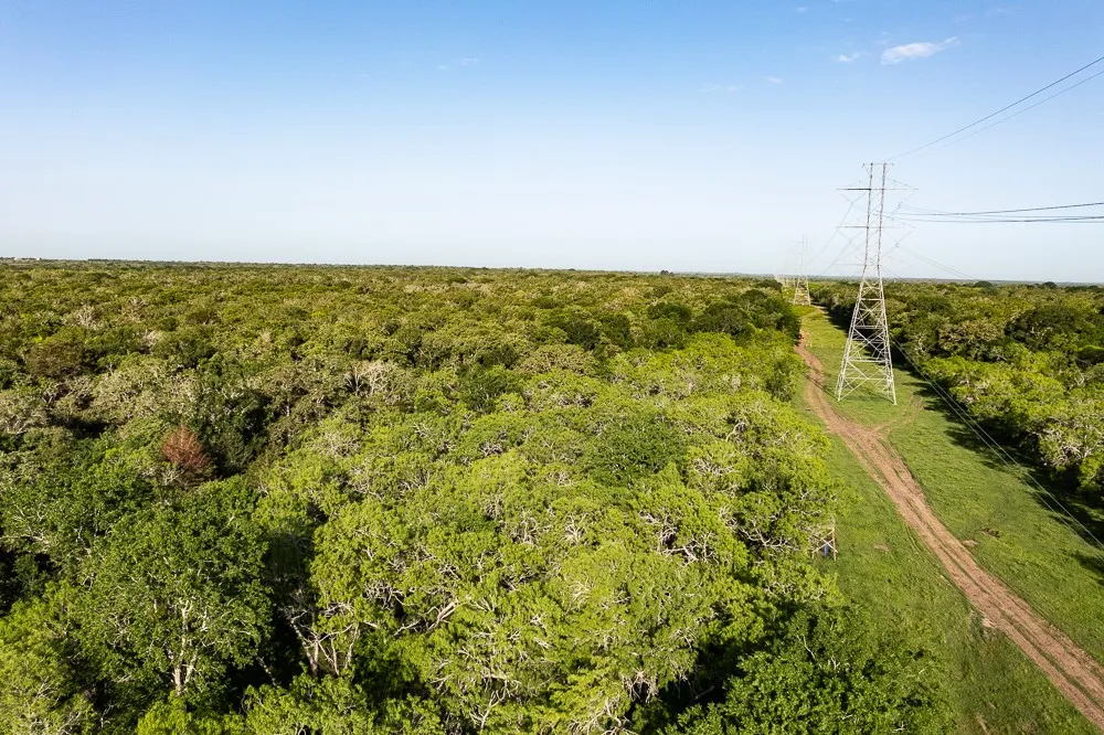 Anchor Ranch Lp Loop Cistern, TX 78941