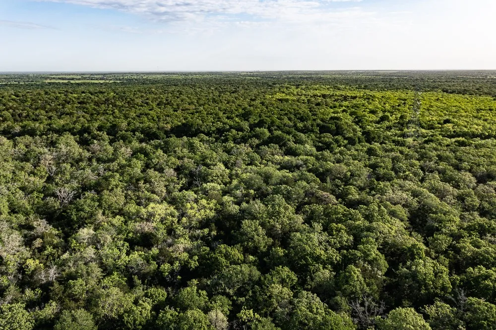 Anchor Ranch Lp Loop Cistern, TX 78941
