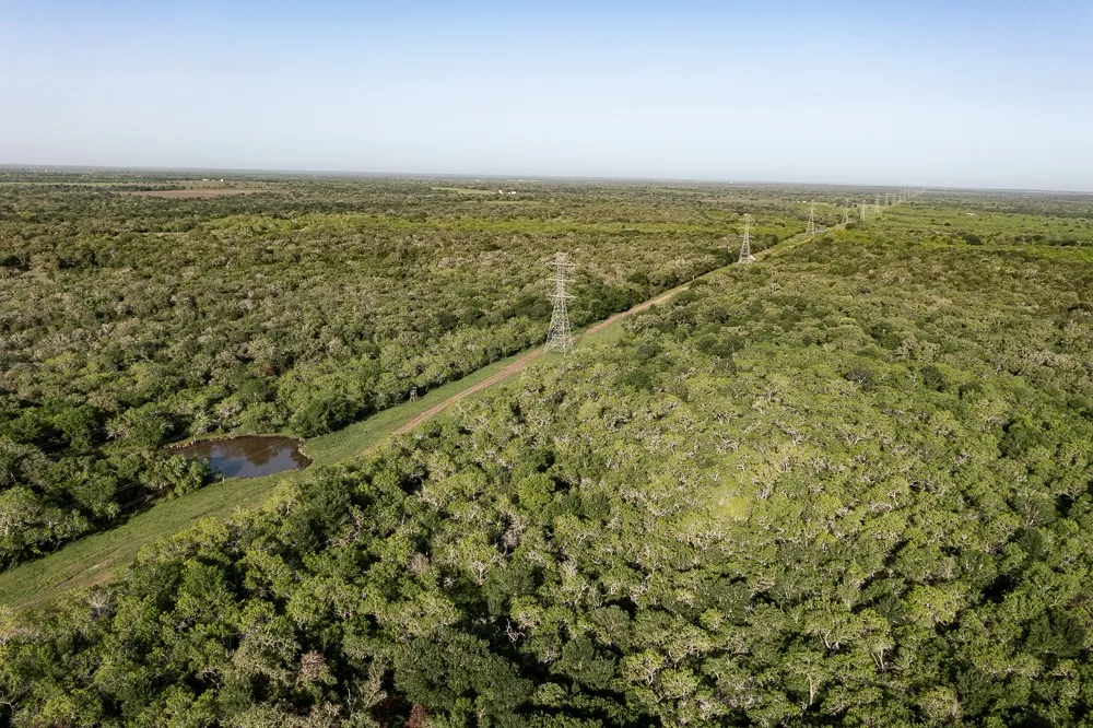 Anchor Ranch Lp Loop Cistern, TX 78941