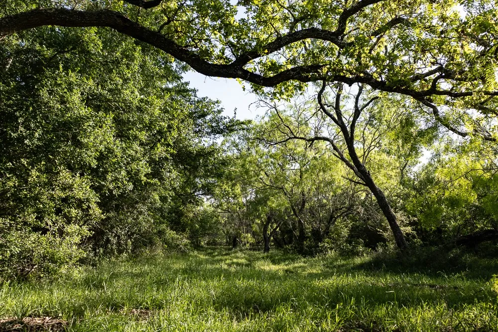 Anchor Ranch Lp Loop Cistern, TX 78941