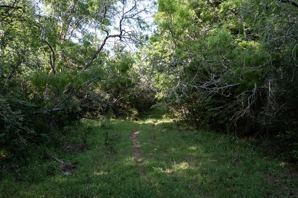 Anchor Ranch Lp Loop Cistern, TX 78941