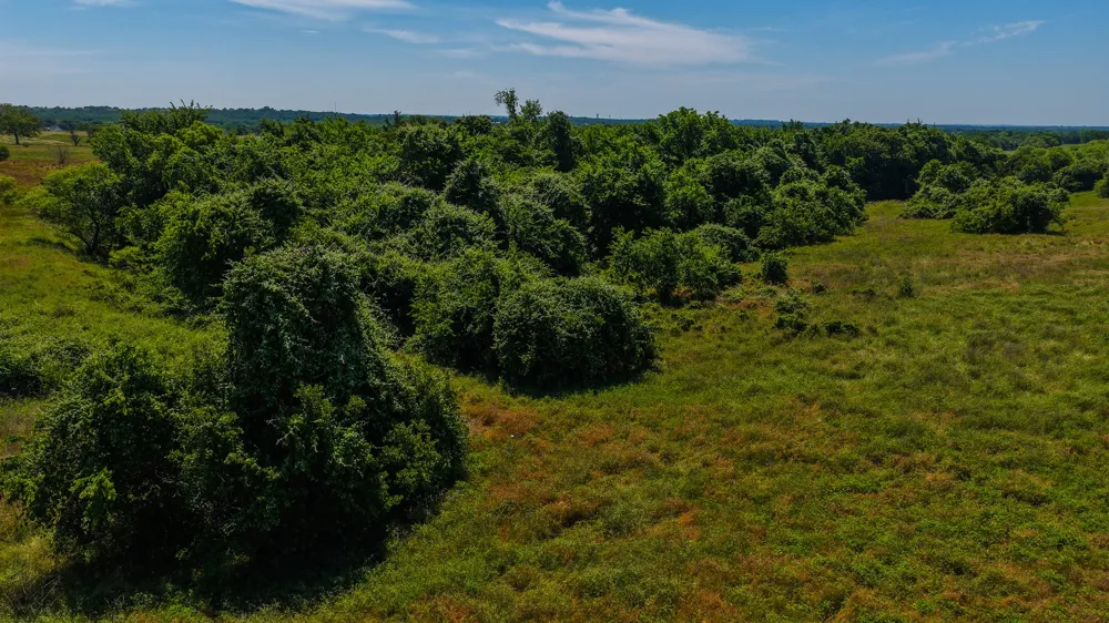 County Road 4360 Decatur, TX 76234