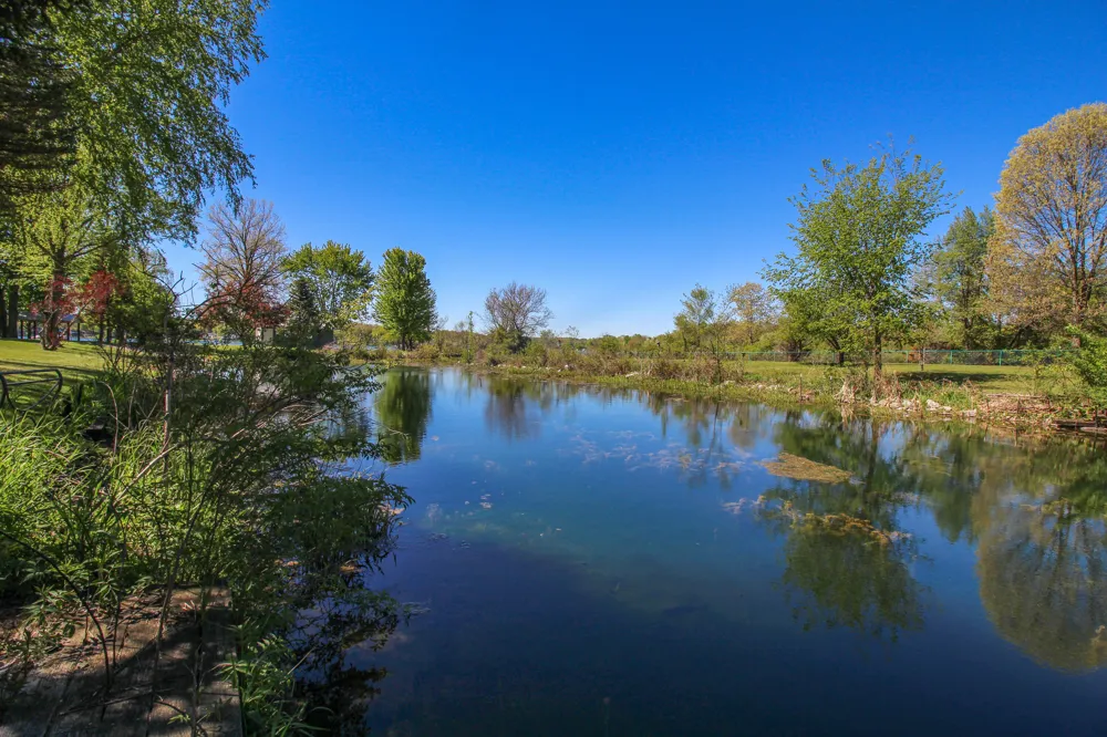 57436 Gearharts Landing Road Three Rivers, MI 49093