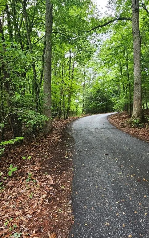 3857 Gumlog Road Young Harris, GA 30582