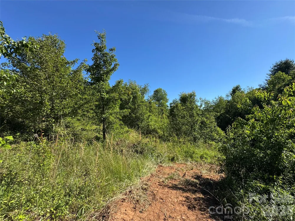 99999 Duckett Road Candler, NC 28715