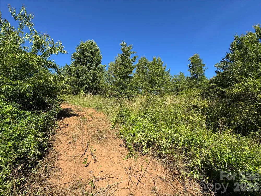 99999 Duckett Road Candler, NC 28715