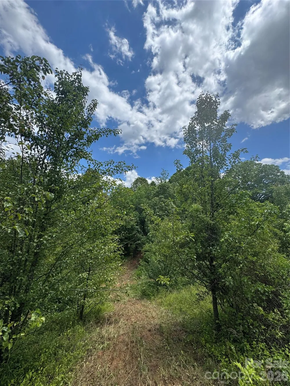 99999 Duckett Road Candler, NC 28715