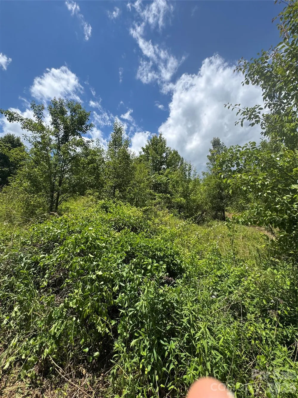 99999 Duckett Road Candler, NC 28715