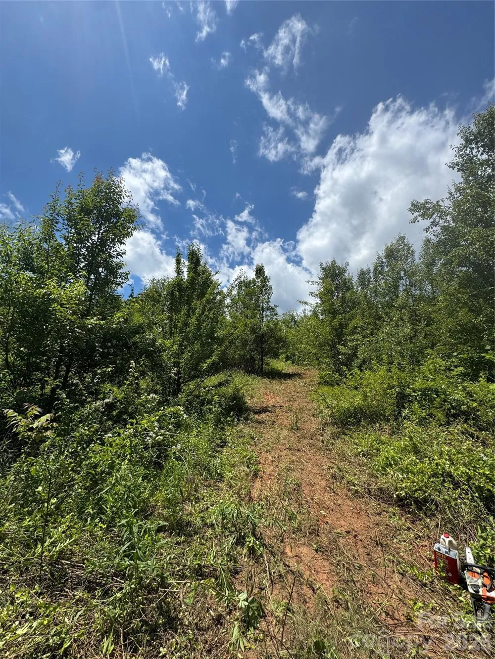 99999 Duckett Road Candler, NC 28715