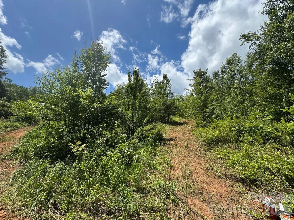 99999 Duckett Road Candler, NC 28715