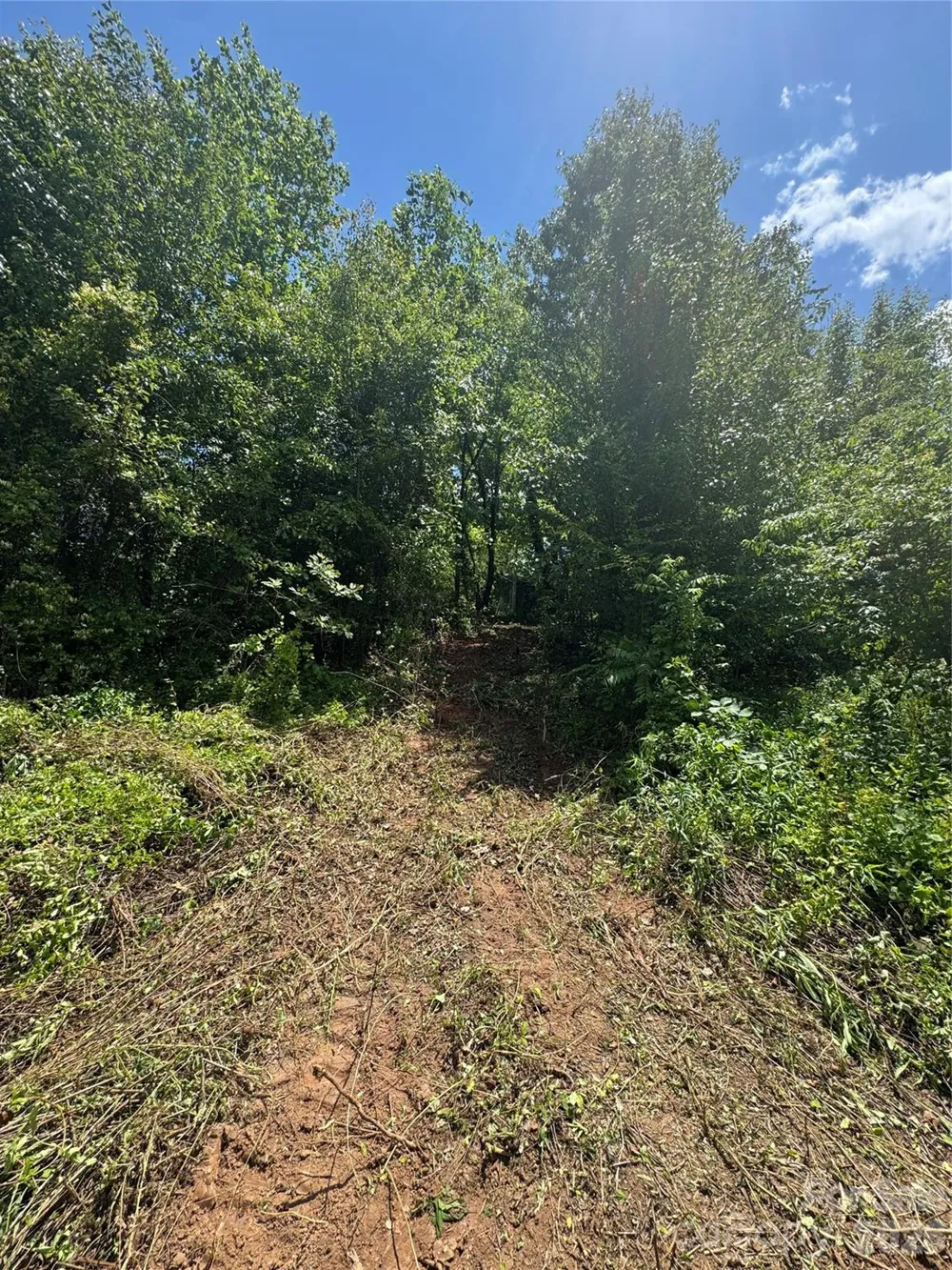 99999 Duckett Road Candler, NC 28715