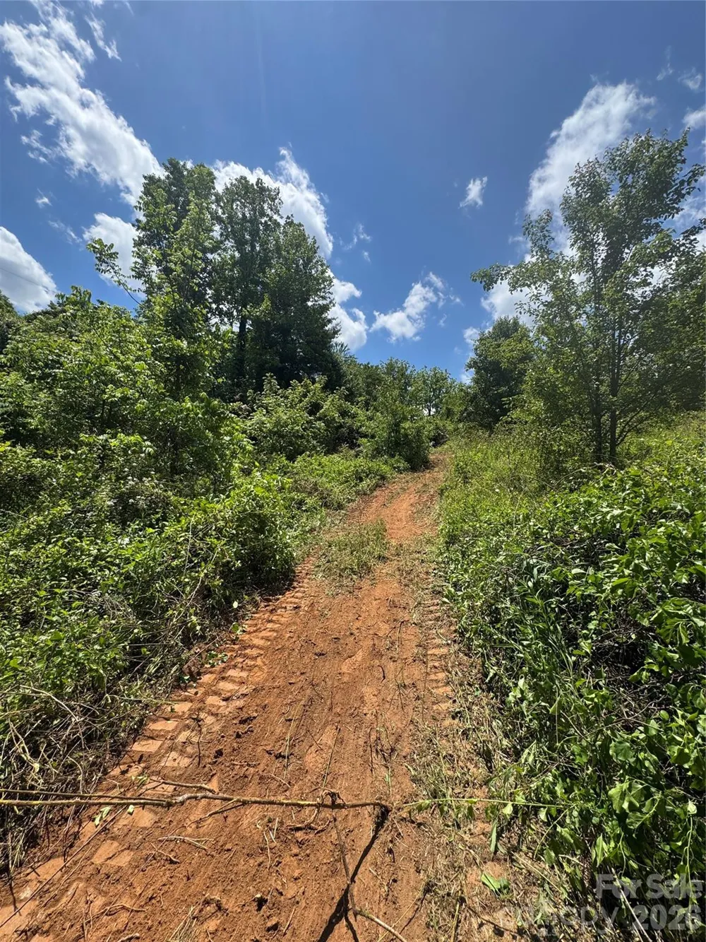 99999 Duckett Road Candler, NC 28715
