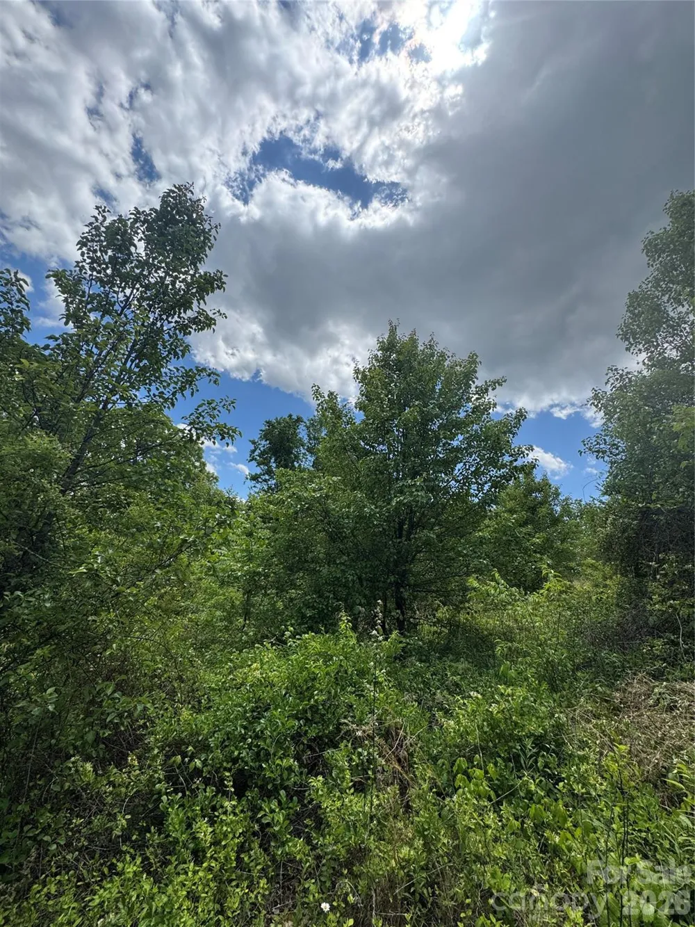 99999 Duckett Road Candler, NC 28715