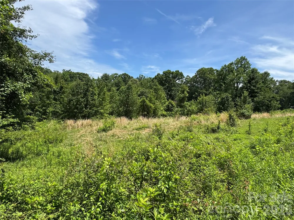 99999 Duckett Road Candler, NC 28715