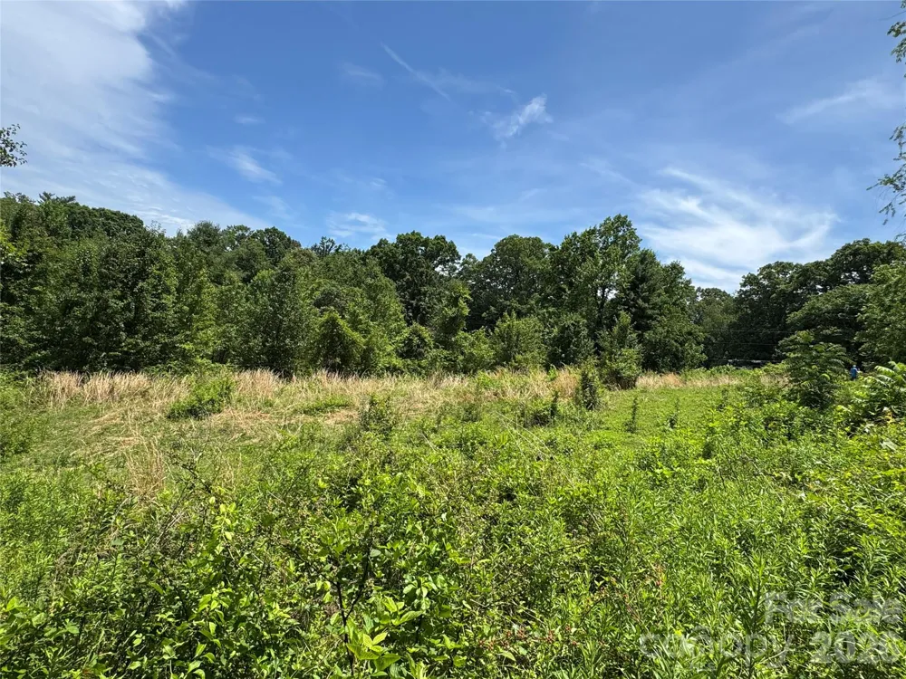 99999 Duckett Road Candler, NC 28715