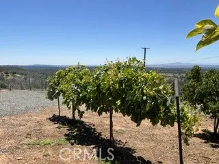 247 Viewcrest Oroville, CA 95966