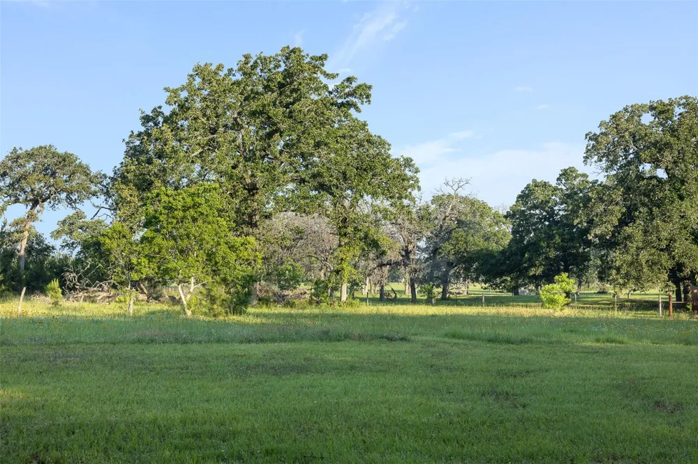 26795 Rice Road Hockley, TX 77447