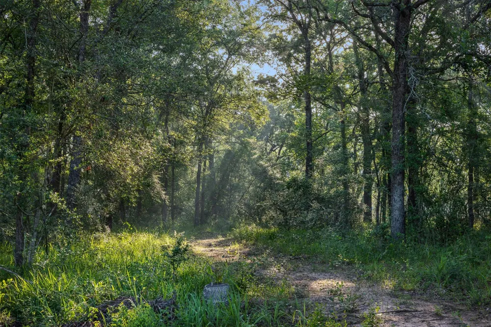 26795 Rice Road Hockley, TX 77447