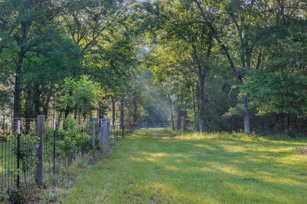 26795 Rice Road Hockley, TX 77447