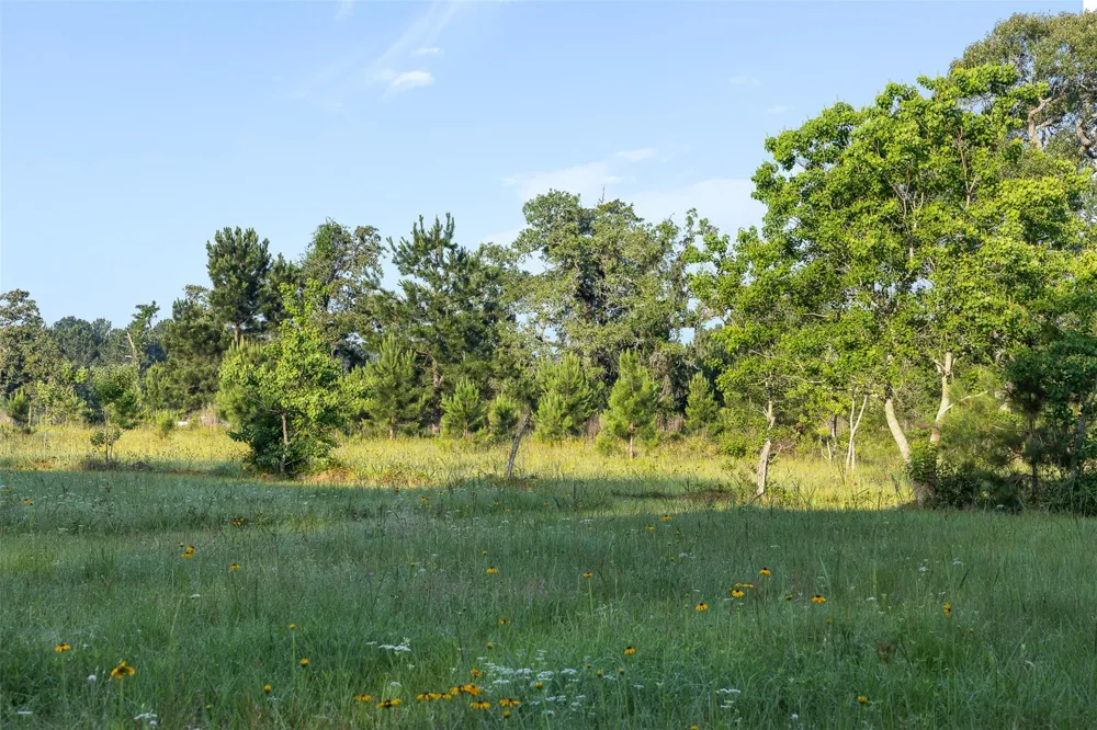 26795 Rice Road Hockley, TX 77447