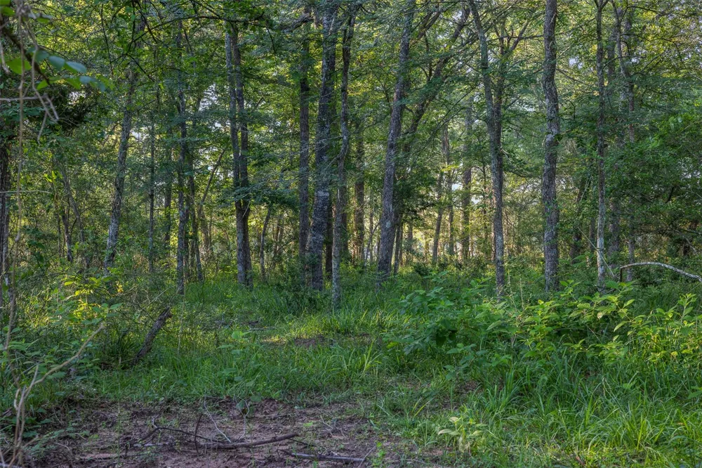 26795 Rice Road Hockley, TX 77447