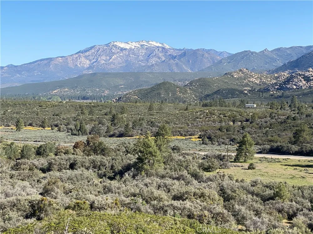 59307 Courtesy Drive Mountain Center, CA 92561