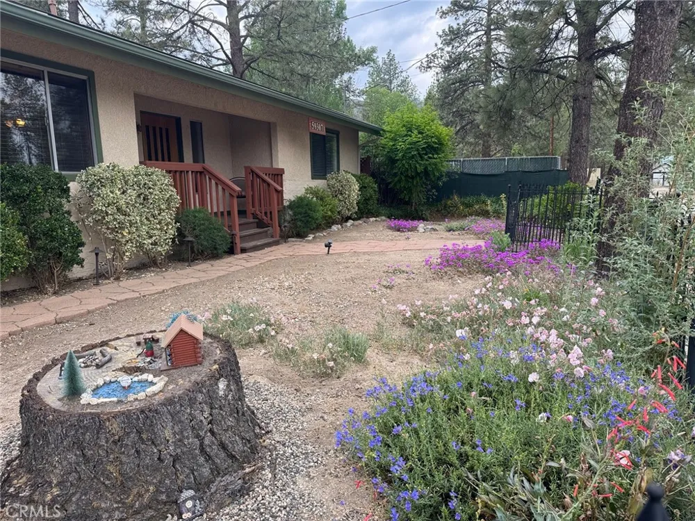 59307 Courtesy Drive Mountain Center, CA 92561