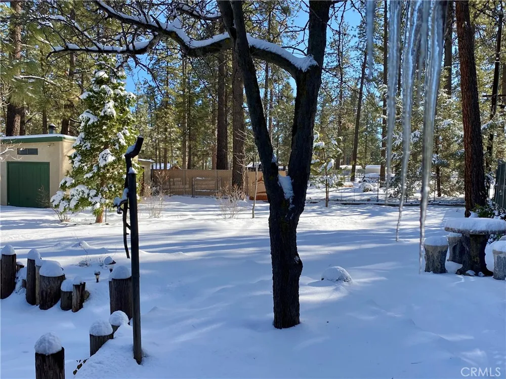 59307 Courtesy Drive Mountain Center, CA 92561