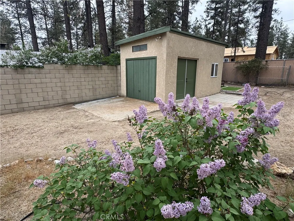 59307 Courtesy Drive Mountain Center, CA 92561