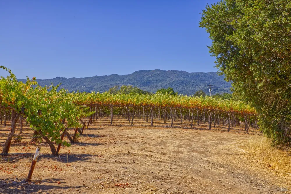 15881 Highway 12 Sonoma, CA 95476