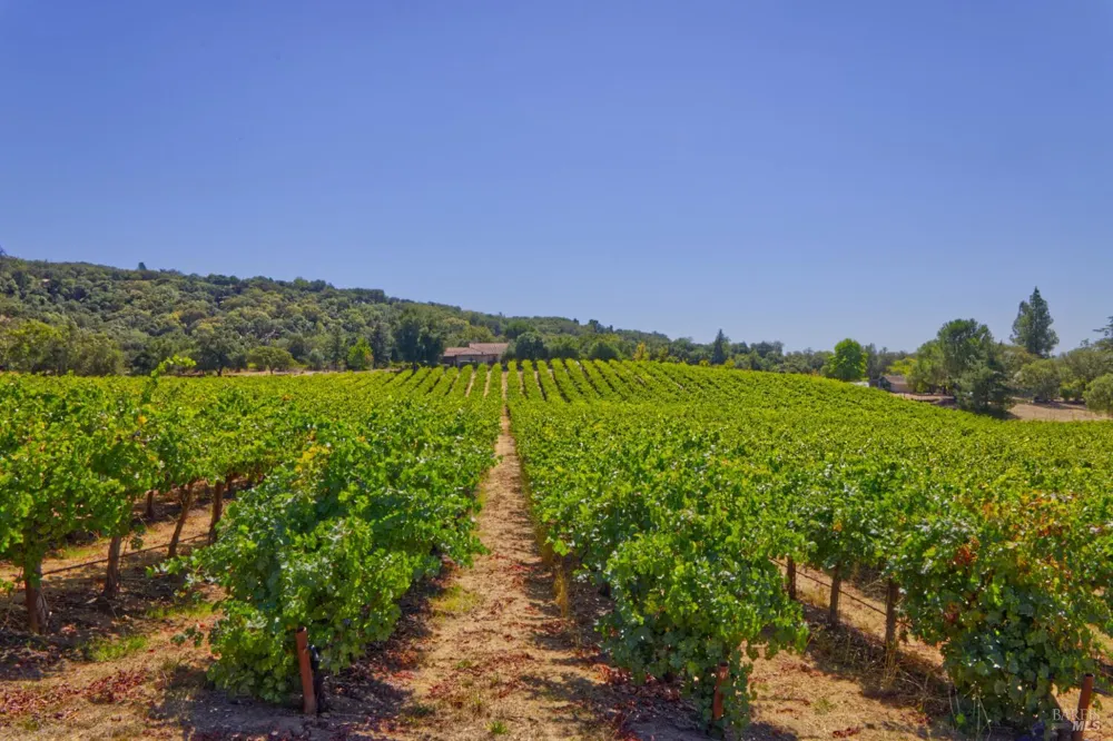 15881 Highway 12 Sonoma, CA 95476