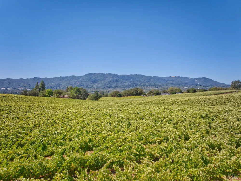 15881 Highway 12 Sonoma, CA 95476