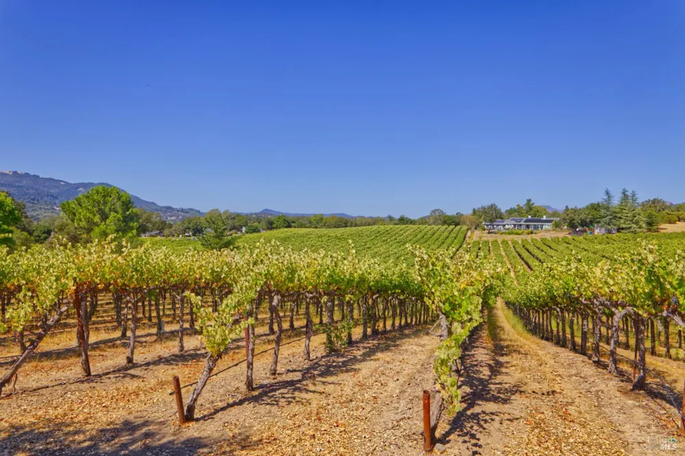 15881 Highway 12 Sonoma, CA 95476